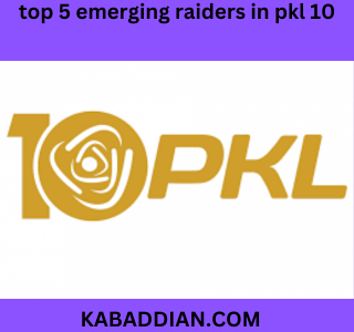 top 5 emerging raiders in pkl 10